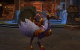 Swift_white_hawkstrider