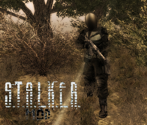 В тылу врага 2: Лис пустыни		 - Stalker Mod