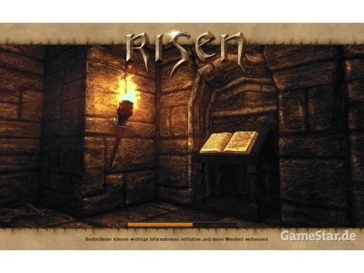 Risen - 34 заставок Risen