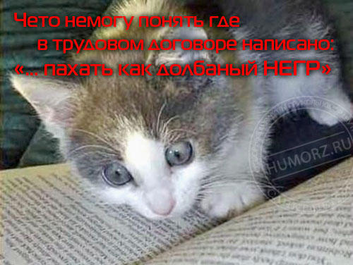 Обо всем - В гейм-дизайнеры хочу, пусть меня научат. Часть 1, как сделать так, чтоб взяли. Обо всем - В гейм-дизайнеры хочу, пусть меня научат. Часть 1, как сделать так, чтоб взяли.
