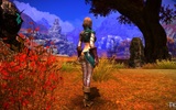 Tera_screenshot_20110121_215146