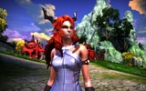 Tera_screenshot_20110122_135103