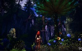 Tera_screenshot_20110123_172500