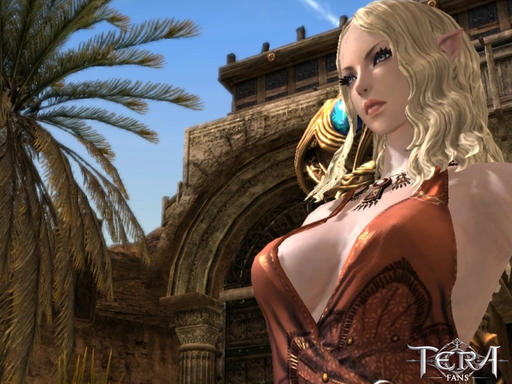 TERA: The Exiled Realm of Arborea - TERA - первые причины недовольства после релиза корейской версии