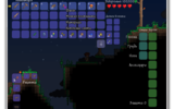 Terraria____