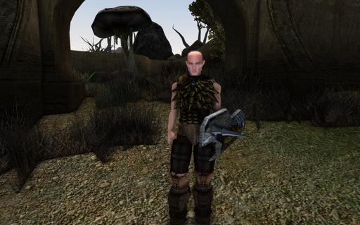 Elder Scrolls III: Morrowind, The - Из грязи в князи. Прохождение Великого Дома Хлаалу