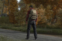 Где релиз DayZ Standalone?