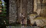 Dragonageinquisition_2014-12-10_14-09-39-97