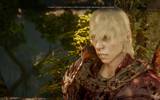 Dragonageinquisition_2015-01-08_21-23-04-52