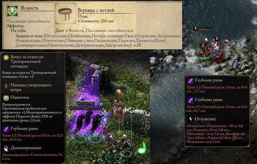 Pillars of Eternity - «Pillars Of Eternity»: размышления после финальных титров.