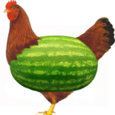 Thwatermelon-chicken